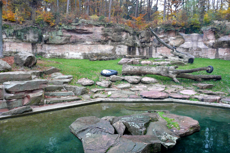 Eisbärin Flocke im Oktober 2008 | Foto: On a highway to hell, Lizenz: CC BY 3.0